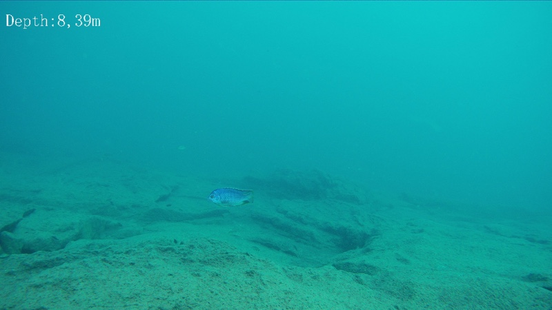 Chinyankwazi Island 13